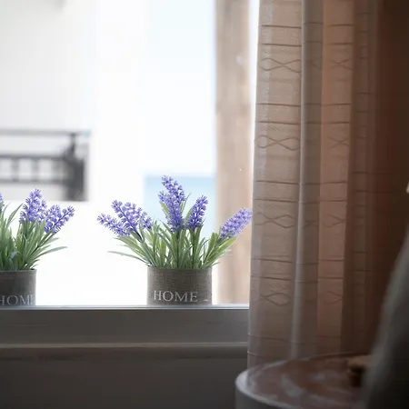 Turtle Cove Cottage, Beachfront アパート