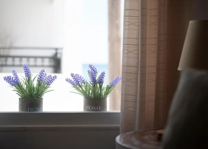 Turtle Cove Cottage, Beachfront شقة